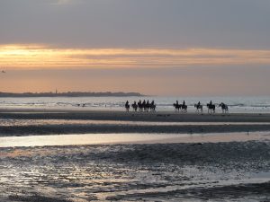 cheval-bord-de-mer